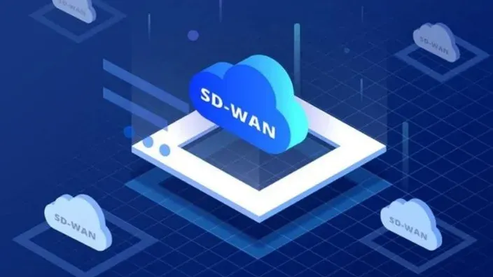 Solución SD-WAN (II)