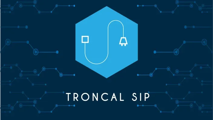 Troncales SIP para empresas en México